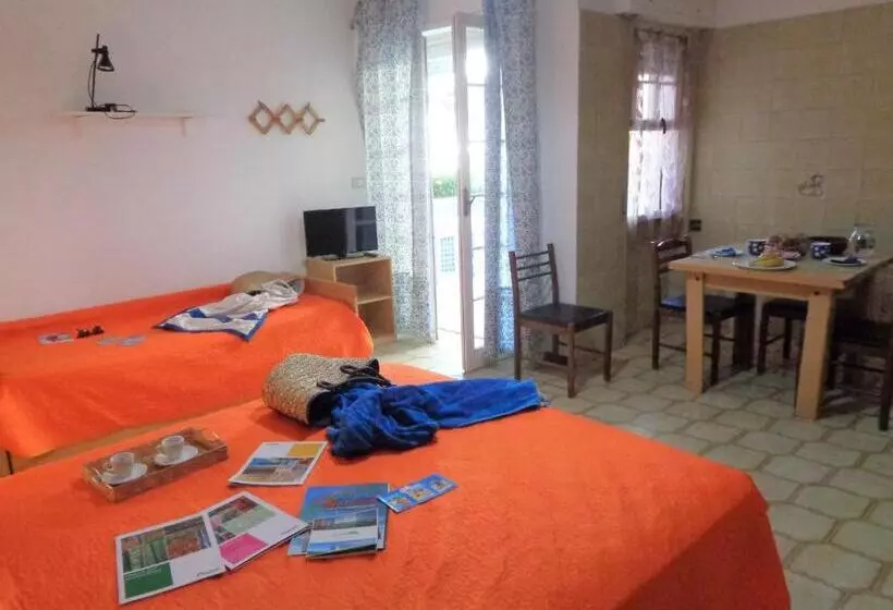 Macrinum Green Marine