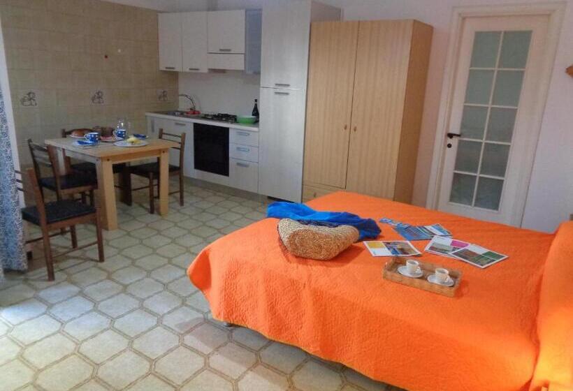 Macrinum Green Marine