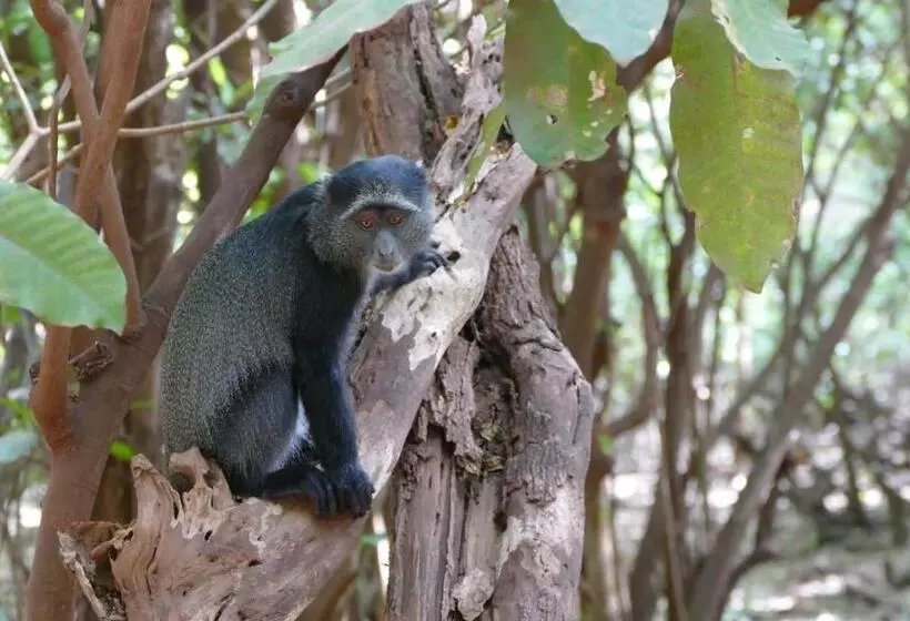 پانسیون Arusha Holiday Safari