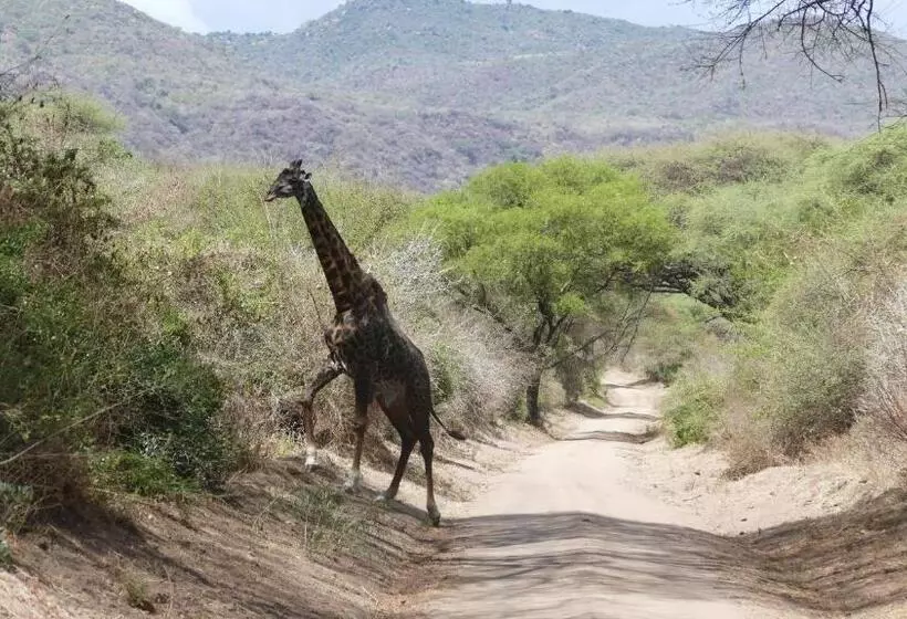 پانسیون Arusha Holiday Safari