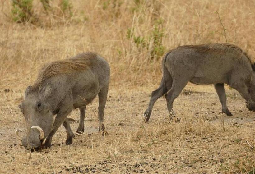 Пансион Arusha Holiday Safari