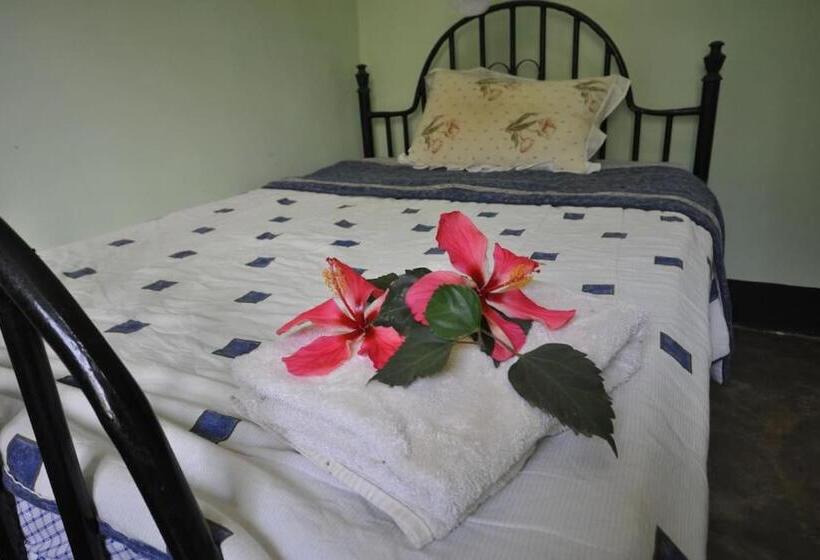 Пансион Arusha Holiday Safari