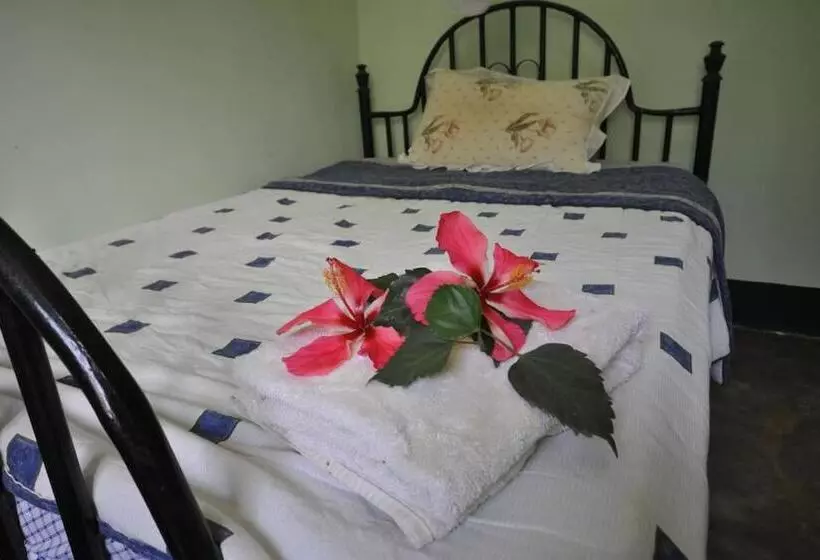 پانسیون Arusha Holiday Safari