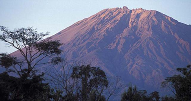 Пансион Arusha Holiday Safari