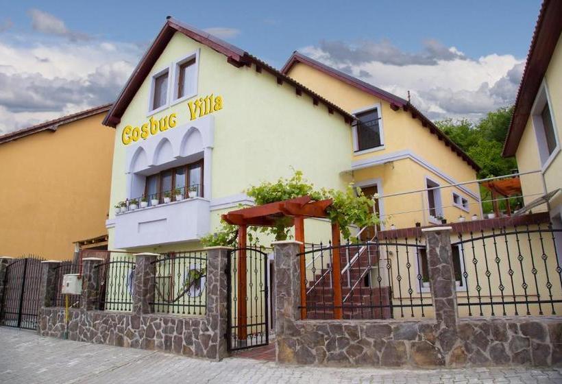 بنسيون Cosbuc Residence & Villa