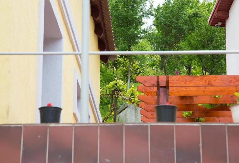 بنسيون Cosbuc Residence & Villa
