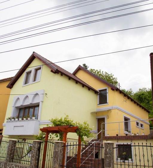 بنسيون Cosbuc Residence & Villa