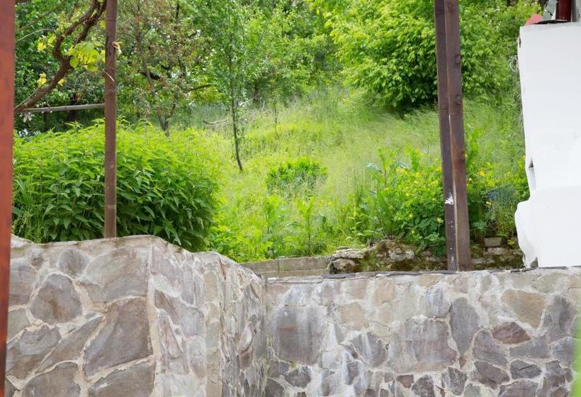 بنسيون Cosbuc Residence & Villa