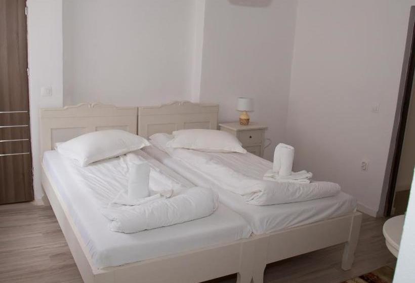 بنسيون Cosbuc Residence & Villa