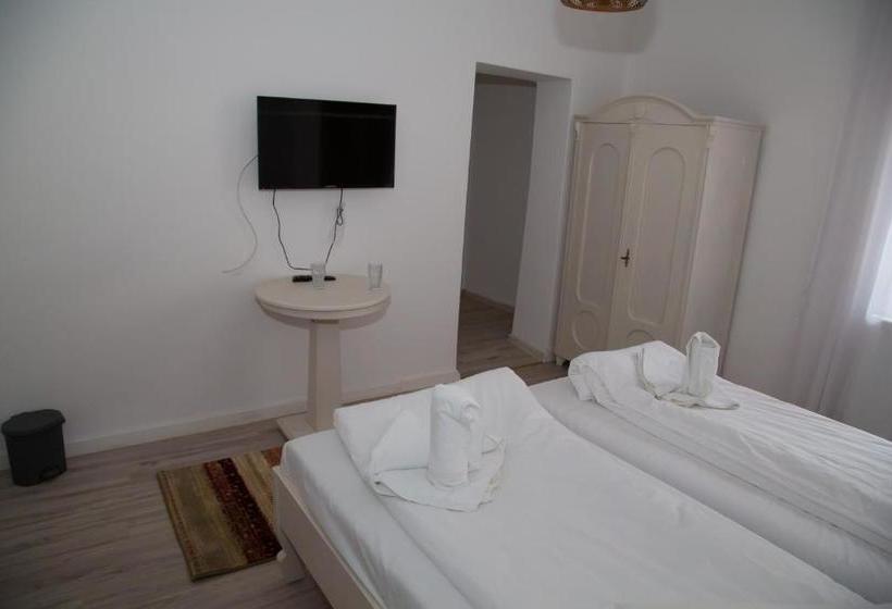 بنسيون Cosbuc Residence & Villa