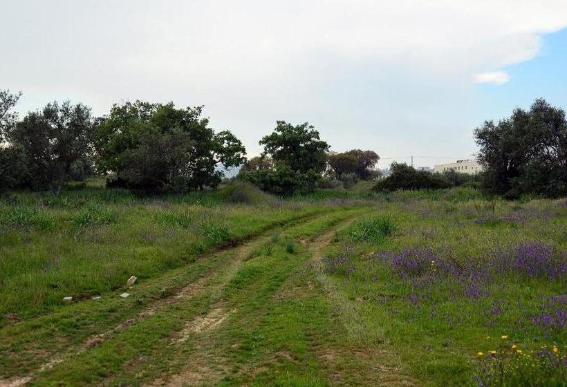 پانسیون Rm Newhost 2015 / Casadochico