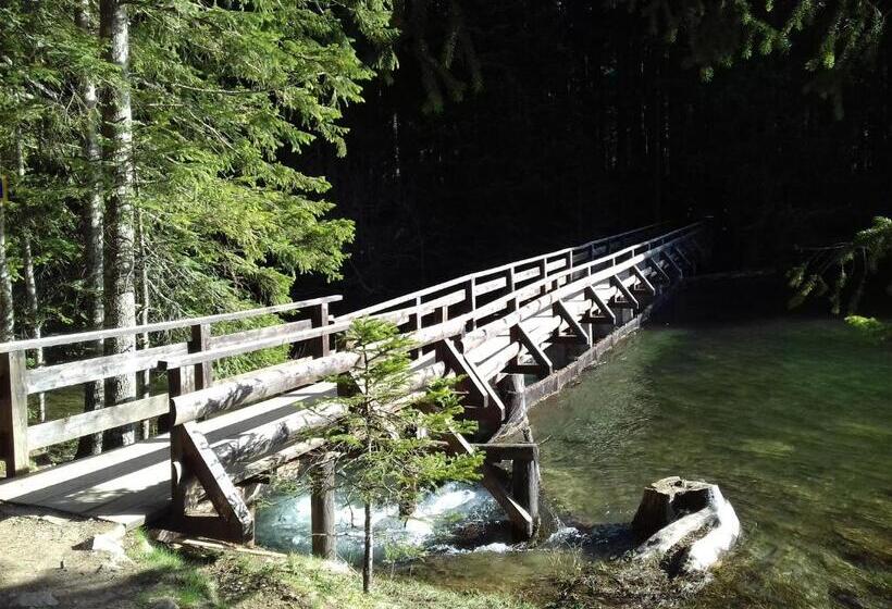 پانسیون Vuk Popovic