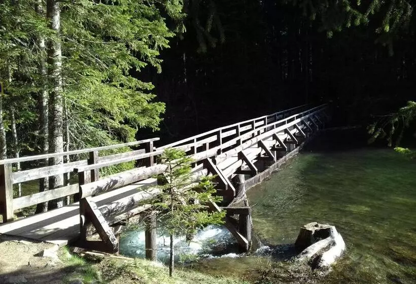 پانسیون Vuk Popovic