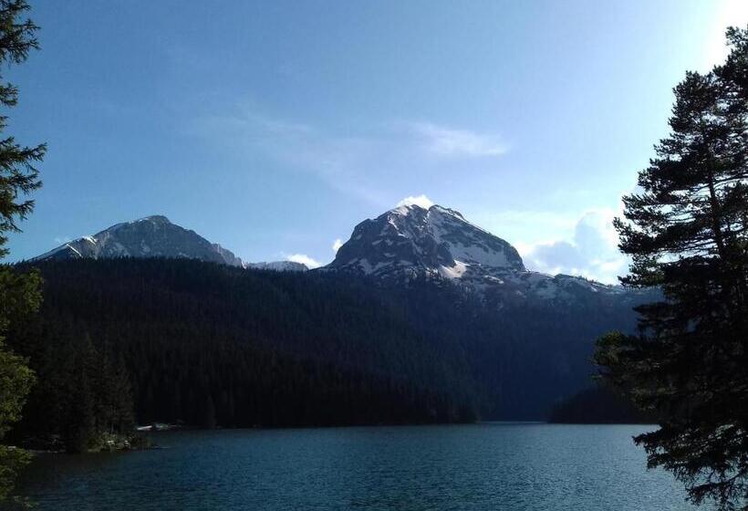 پانسیون Vuk Popovic