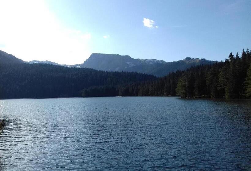 پانسیون Vuk Popovic