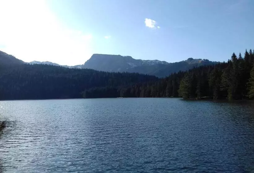 پانسیون Vuk Popovic