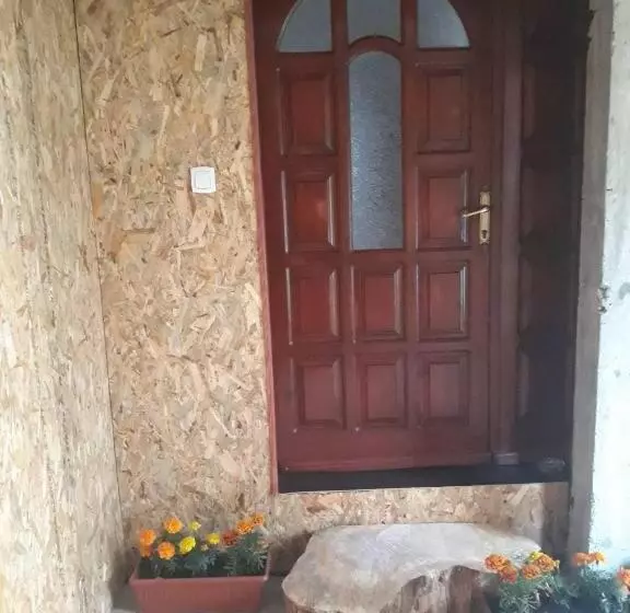 پانسیون Vuk Popovic