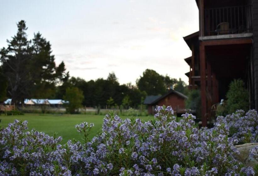 Terra Newen Pucon Family Suites