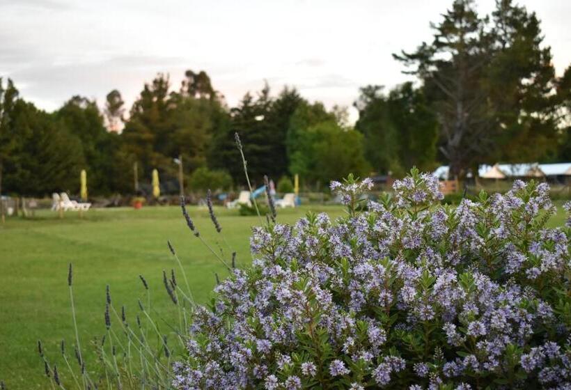 Terra Newen Pucon Family Suites