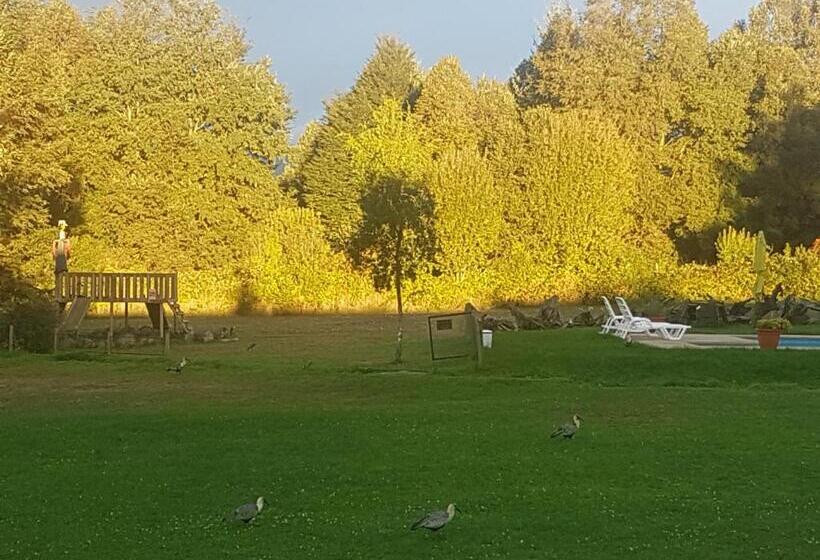 Terra Newen Pucon Family Suites