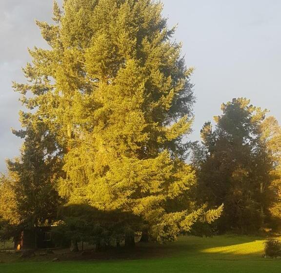 Terra Newen Pucon Family Suites