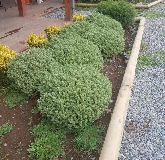 Terra Newen Pucon Family Suites