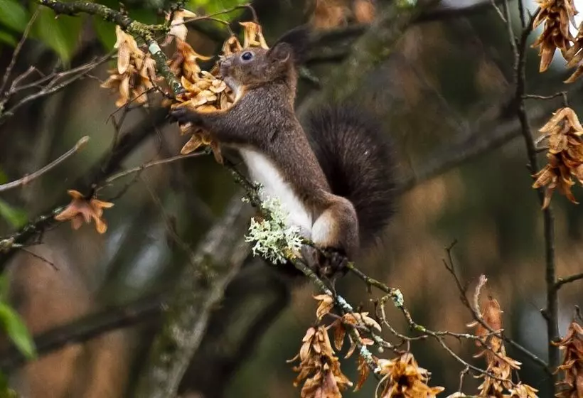 Hotelli Garni Seerösl Am Wörthersee , Kärnten