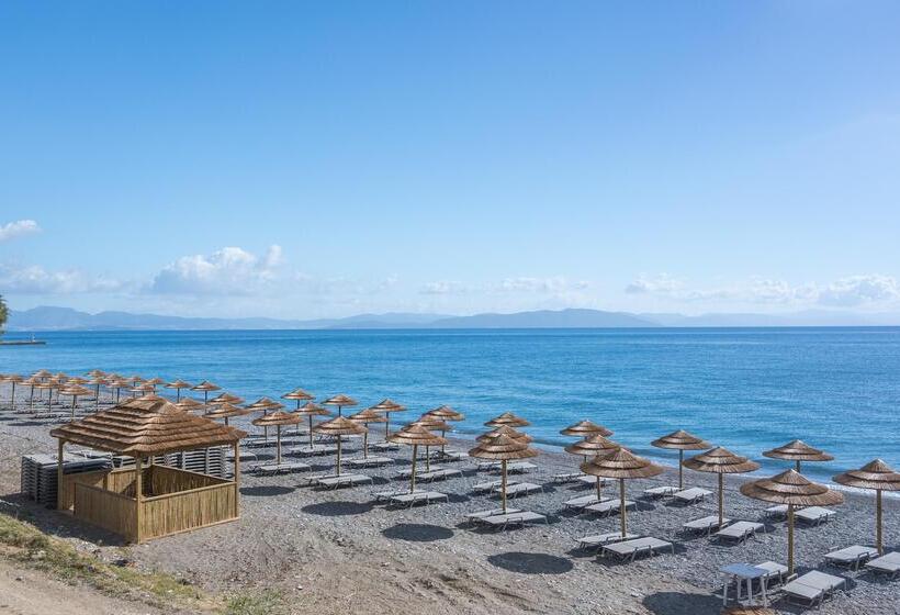 Hotel Blue Lagoon Ocean