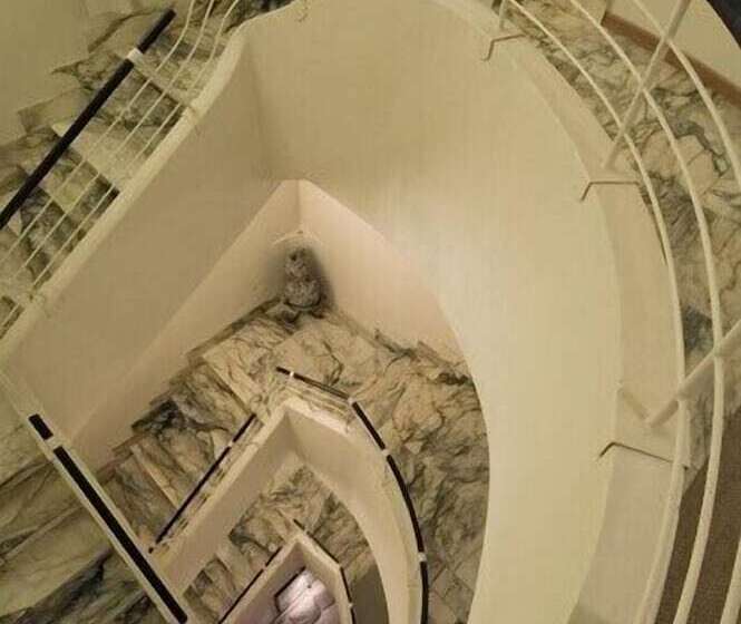 בית מלון כפרי Europa Monetti