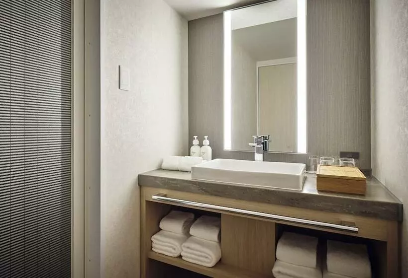 فندق Holiday Inn Kyoto Gojo