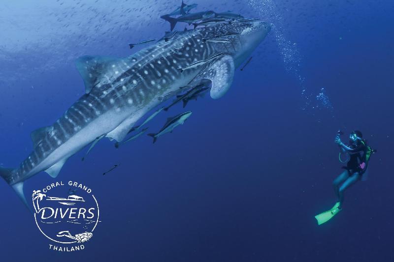 Hotel Koh Tao Coral Grand Resort