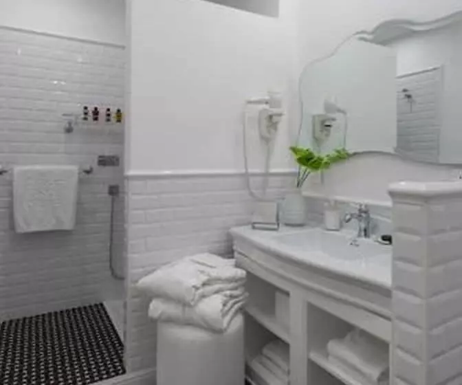 בית מלון כפרי President