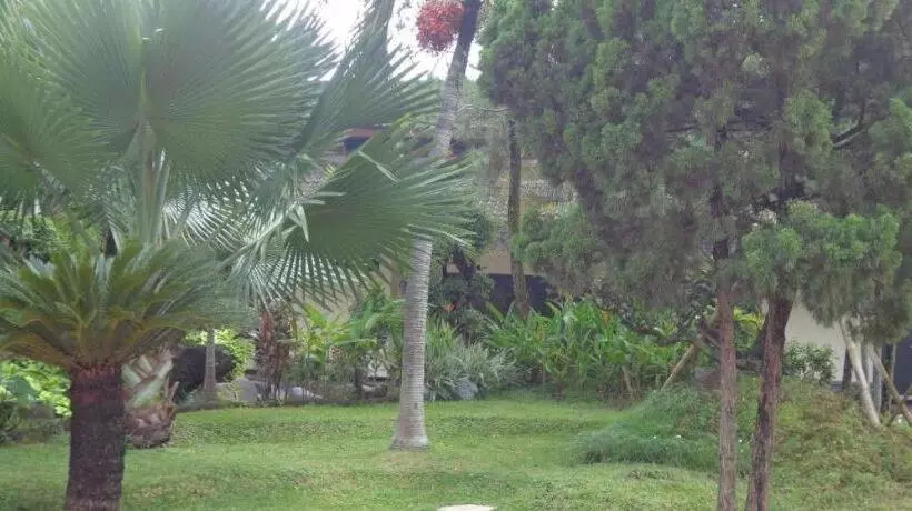 Insumo Palace Hotels & Resorts