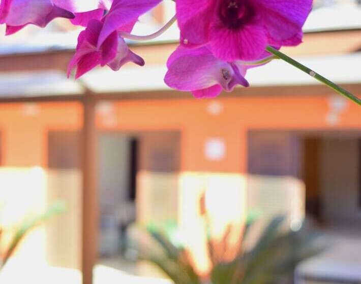 ホテル Pousada Mais Bella