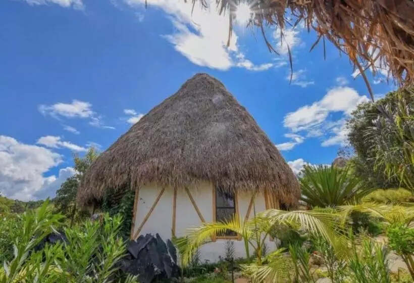 Inn San Agustin Masaya Collection