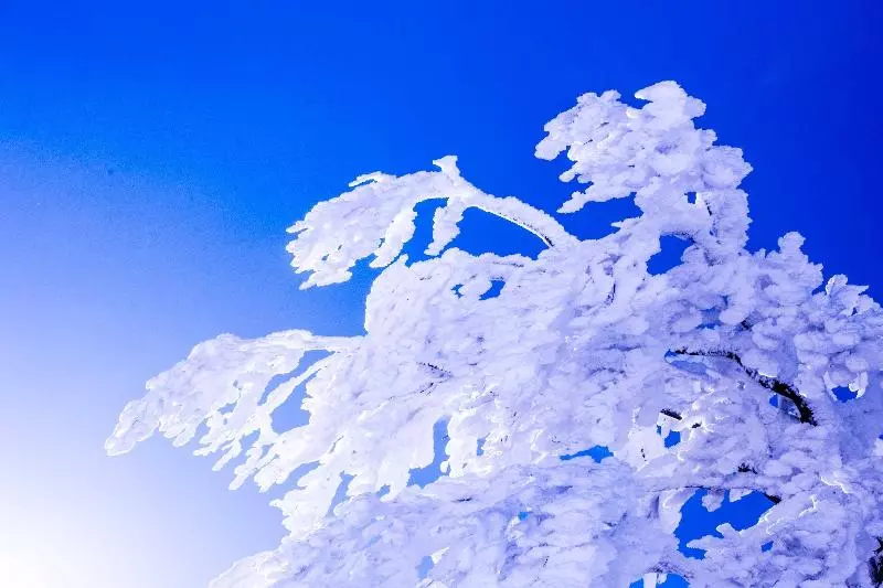 ホテル Lodge Raven