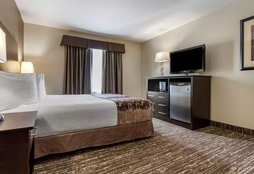 ホテル Best Western Plus Pembina Inn & Suites