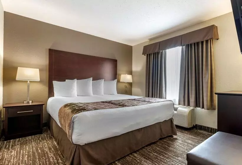 ホテル Best Western Plus Pembina Inn & Suites