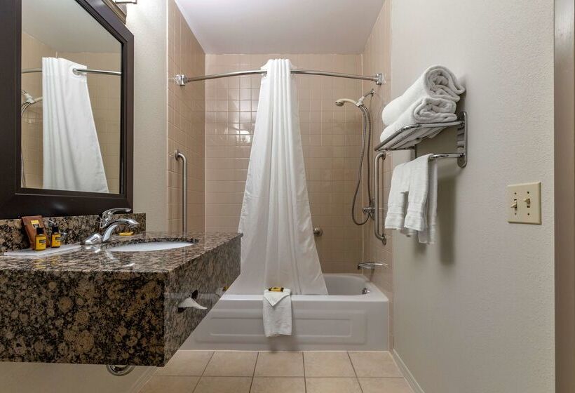 هتل Best Western Plus Pembina Inn & Suites