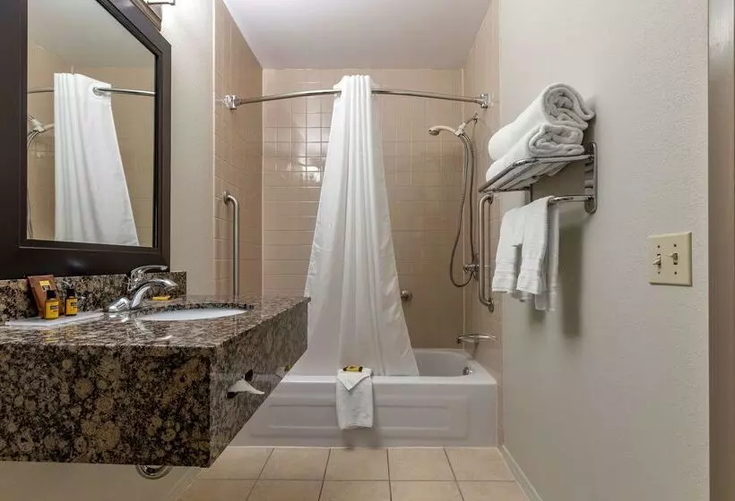 ホテル Best Western Plus Pembina Inn & Suites