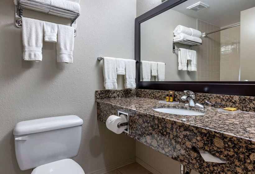 هتل Best Western Plus Pembina Inn & Suites