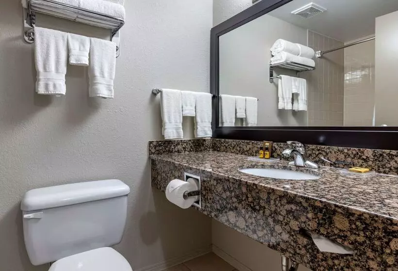 ホテル Best Western Plus Pembina Inn & Suites