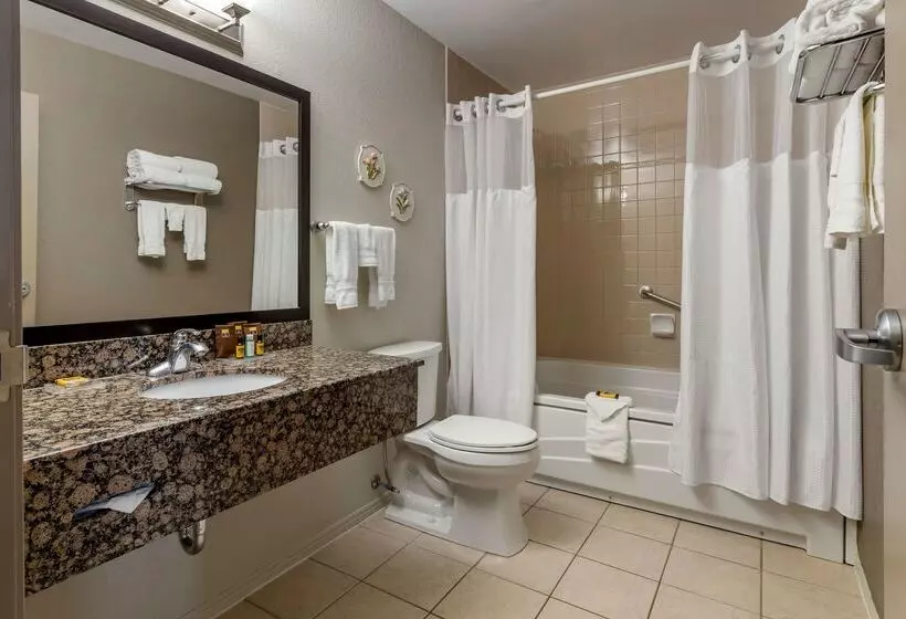 ホテル Best Western Plus Pembina Inn & Suites