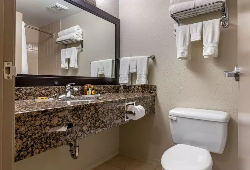 ホテル Best Western Plus Pembina Inn & Suites