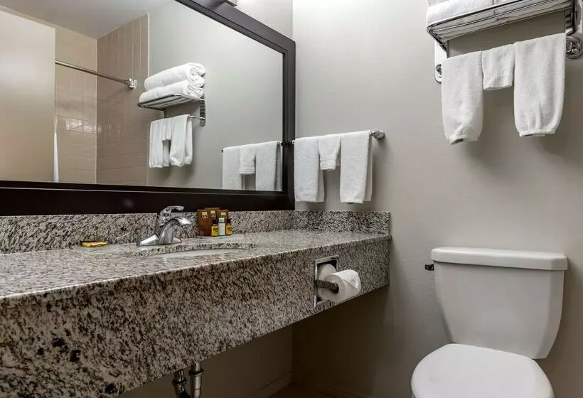 ホテル Best Western Plus Pembina Inn & Suites