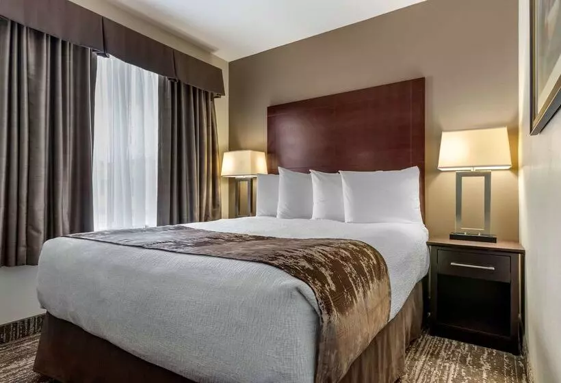 ホテル Best Western Plus Pembina Inn & Suites
