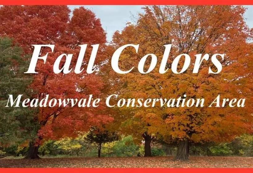 酒店 Cambridge Suites Mississauga