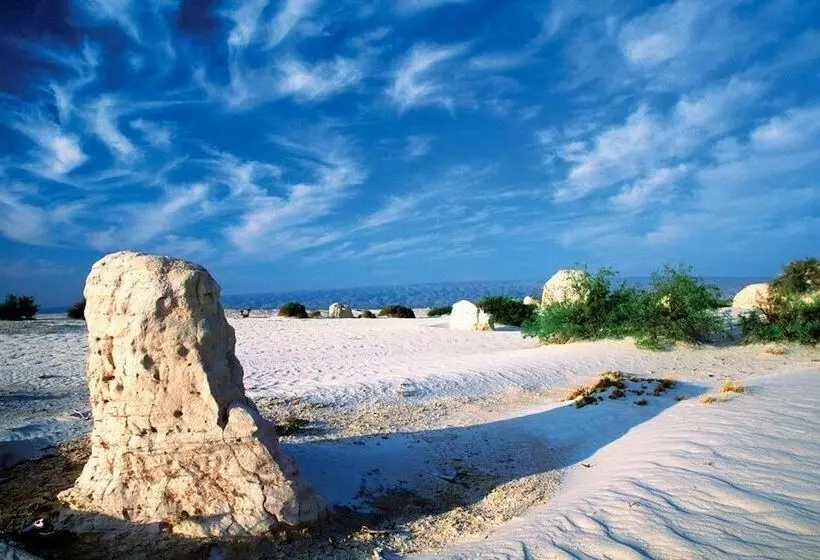 ホテル Comfort Inn Monclova