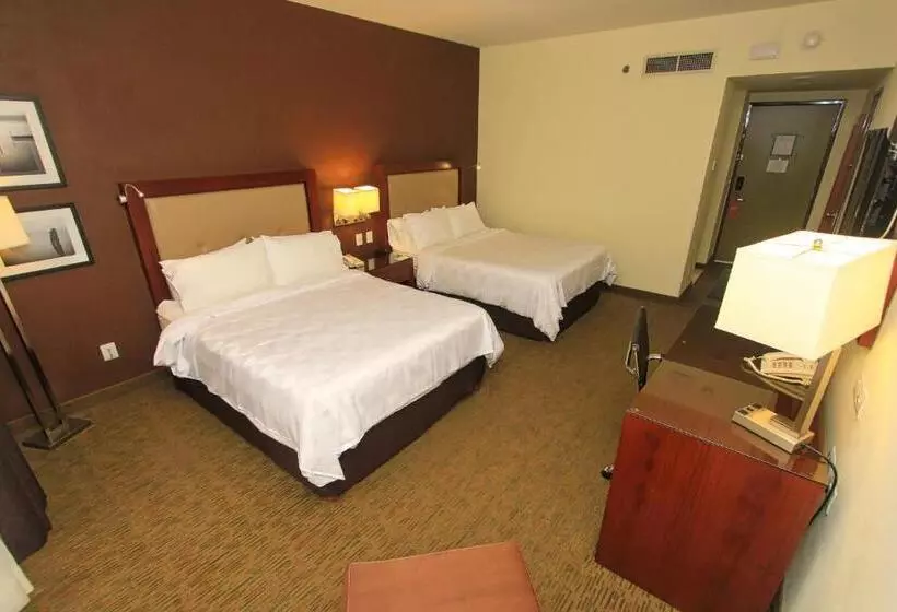 Otel Holiday Inn Leon, An Ihg