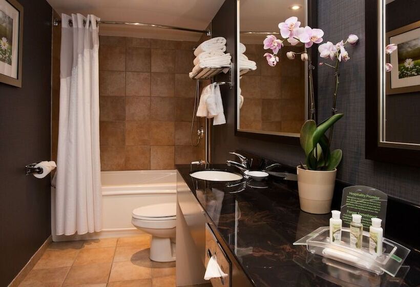 Hotel Holiday Inn & Suites Mississauga West Meadowvale, An Ihg